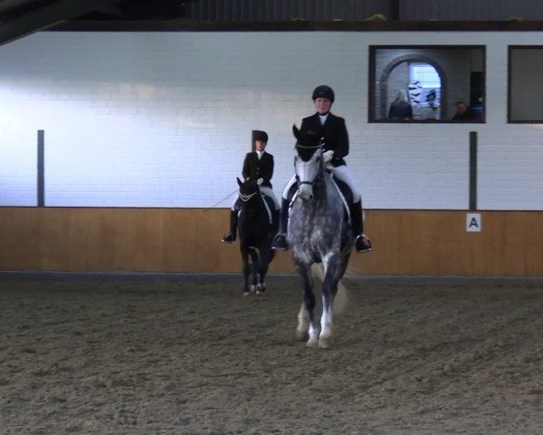 Reitturnier Frechen-Bachem 2024
