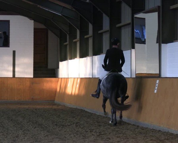 Reitturnier Frechen-Bachem 2024