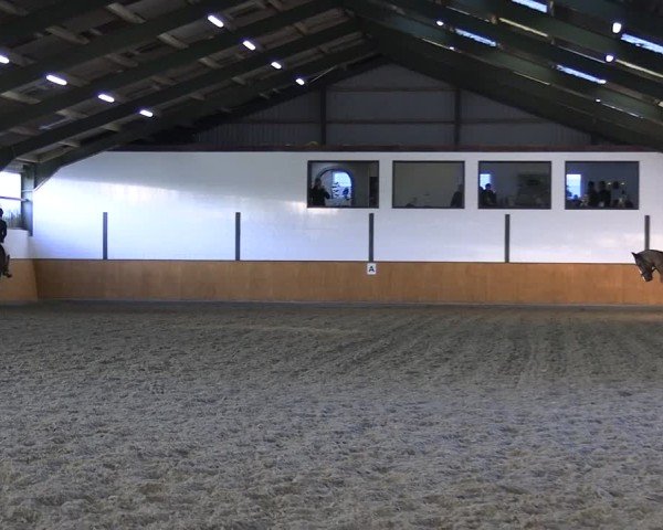 Reitturnier Frechen-Bachem 2024