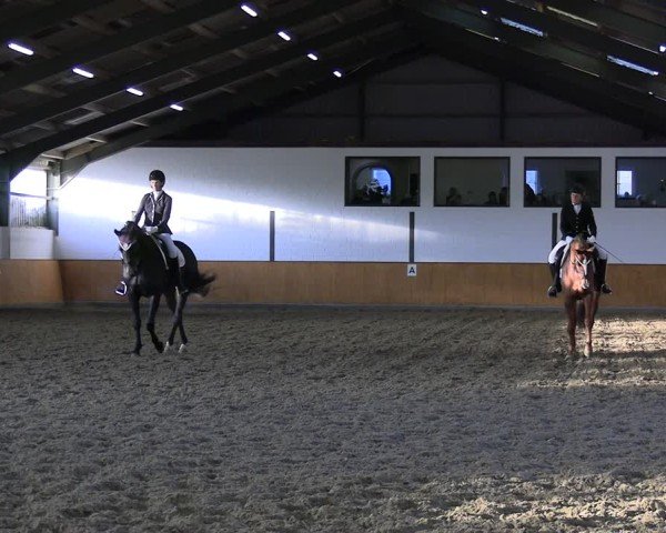 Reitturnier Frechen-Bachem 2024
