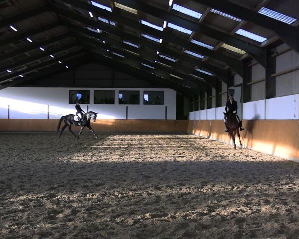 Reitturnier Frechen-Bachem 2024