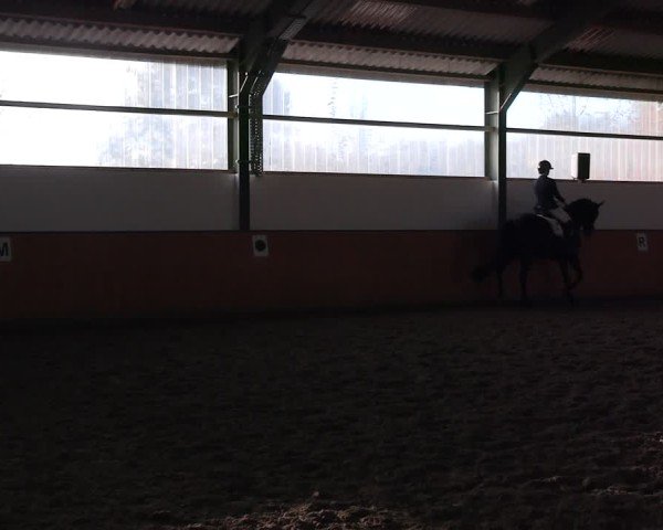 Reitturnier Frechen-Bachem 2024