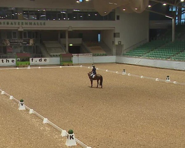 Reitturnier Kreuth/Opf. 2024