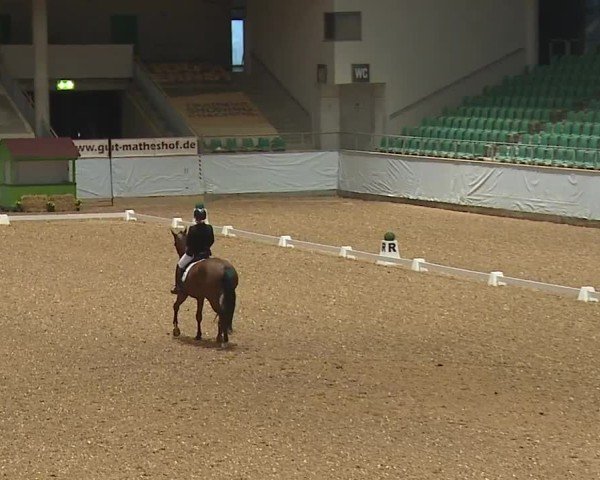 Reitturnier Kreuth/Opf. 2024