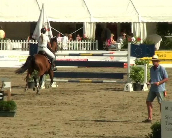 60. Lobbericher Reitsportfestival 01.-04.08.2013