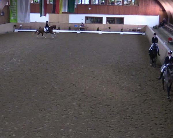 Reitturnier Hövelhof 2024