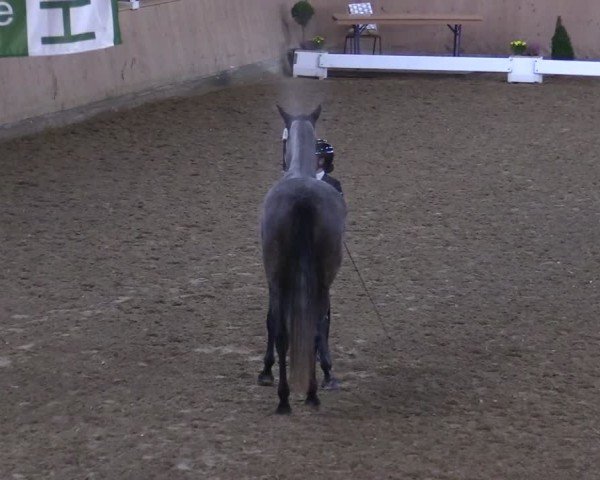 Reitturnier Hövelhof 2024