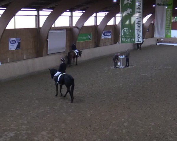 Reitturnier Hövelhof 2024