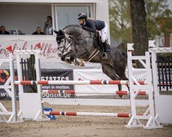 jumper Baumann's Amelia (Westphalian, 2018, from A La Carte NRW)