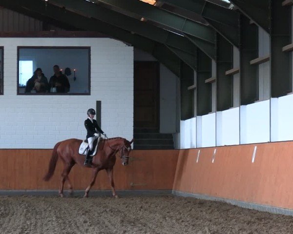 Reitturnier Frechen-Bachem 2024