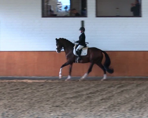 Reitturnier Frechen-Bachem 2024