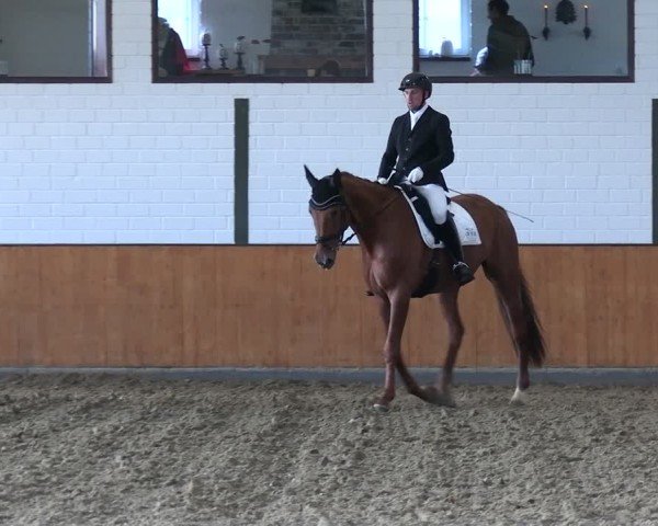 Reitturnier Frechen-Bachem 2024