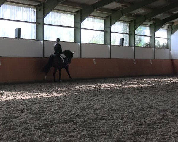 Reitturnier Frechen-Bachem 2024