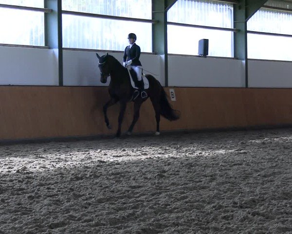 Reitturnier Frechen-Bachem 2024