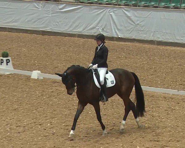 Reitturnier Kreuth/Opf. 2024