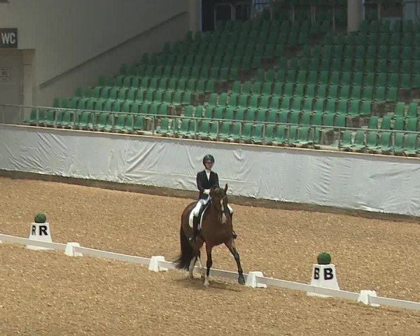 Reitturnier Kreuth/Opf. 2024
