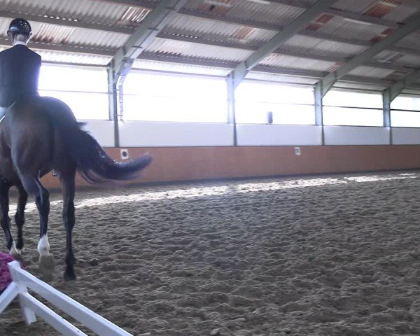 Reitturnier Frechen-Bachem 2024
