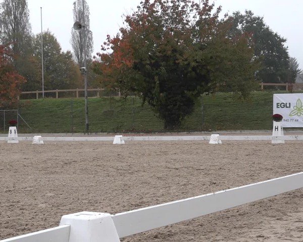 Reitturnier Uster 2024