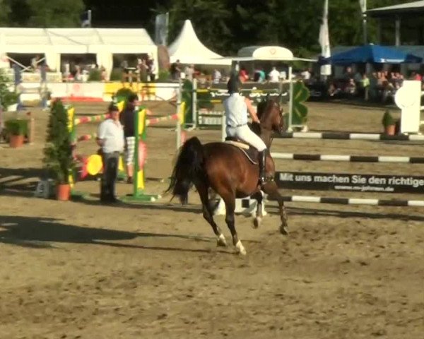 60. Lobbericher Reitsportfestival 01.-04.08.2013