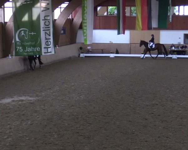 Reitturnier Hövelhof 2024