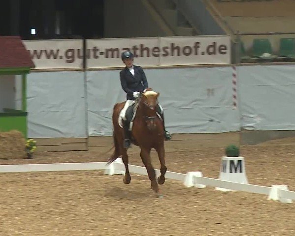 Reitturnier Kreuth/Opf. 2024