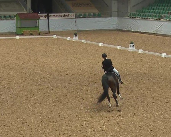 Reitturnier Kreuth/Opf. 2024
