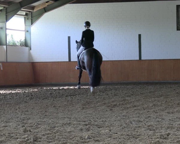 Reitturnier Frechen-Bachem 2024