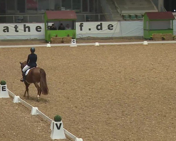Reitturnier Kreuth/Opf. 2024