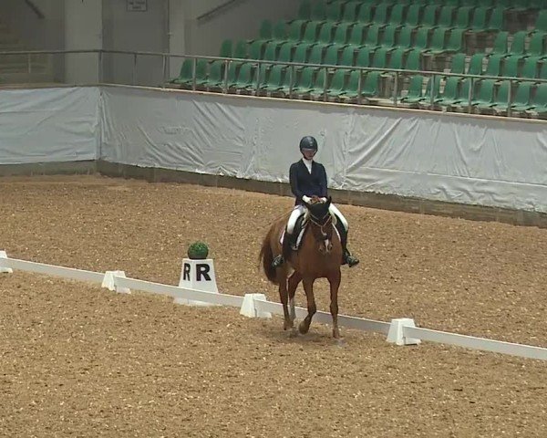 Reitturnier Kreuth/Opf. 2024