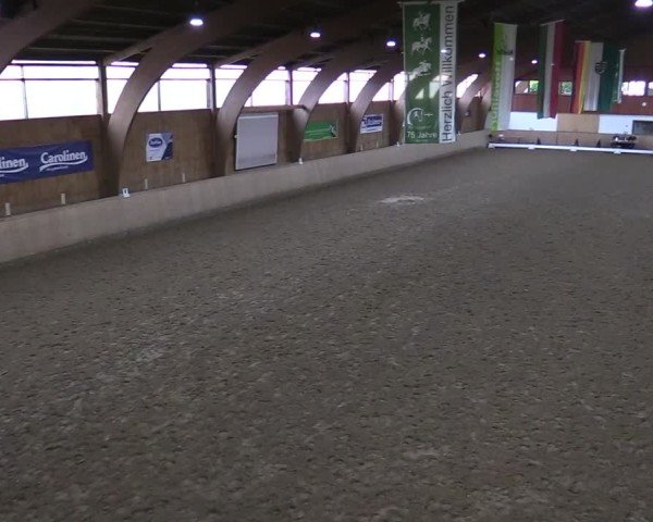 Reitturnier Hövelhof 2024