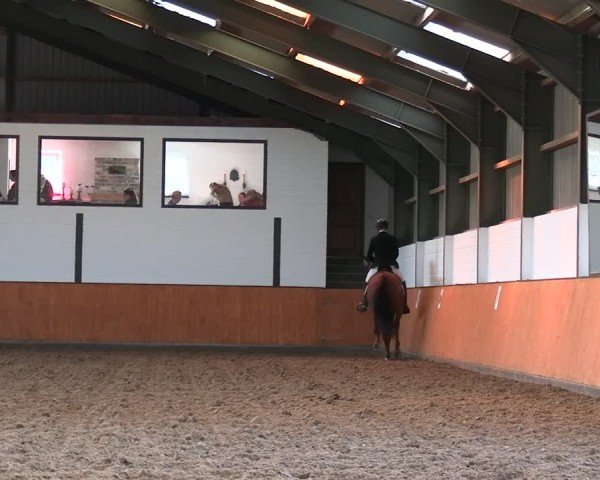 Reitturnier Frechen-Bachem 2024