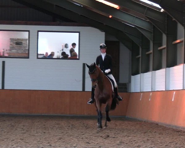 Reitturnier Frechen-Bachem 2024