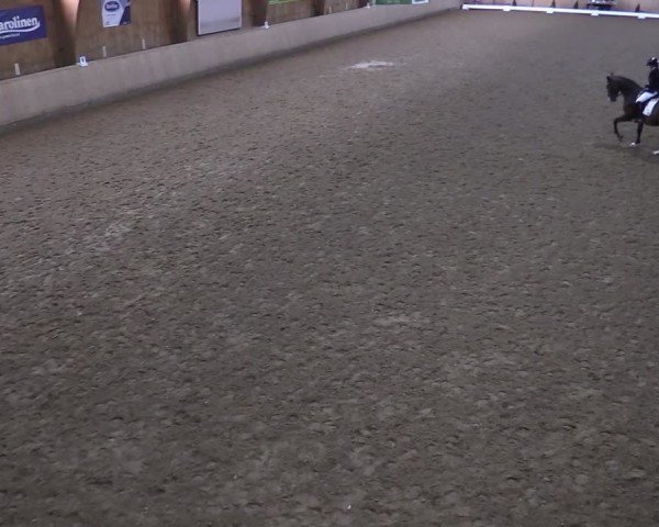 Reitturnier Hövelhof 2024