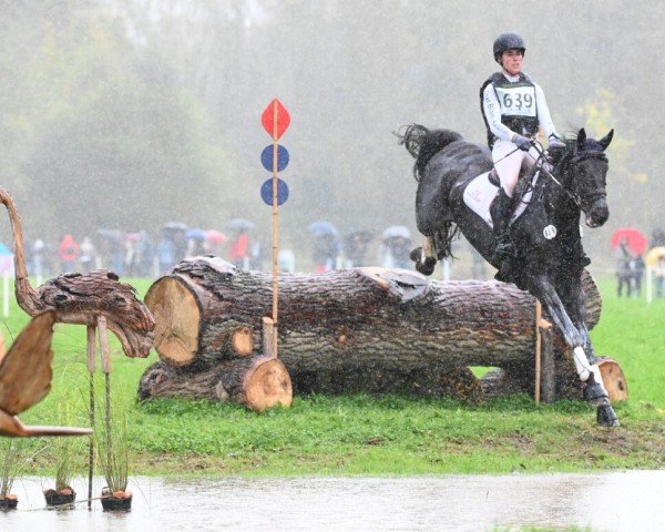 horse Killer Queen (Holsteiner, 2018, from I'm Special de Muze)