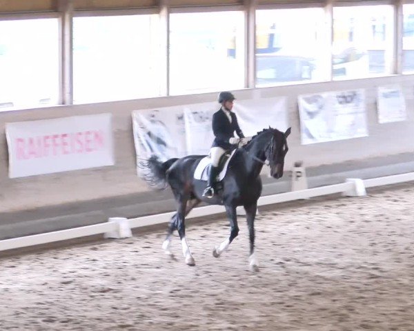 Reitturnier Urtenen-Schönbühl 2024