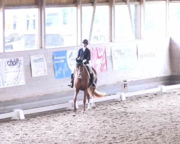 Reitturnier Urtenen-Schönbühl 2024