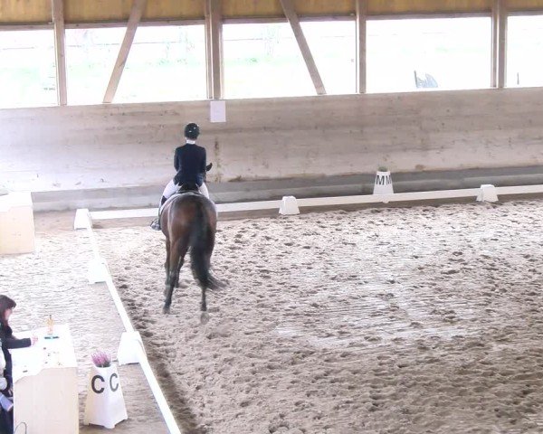 Reitturnier Urtenen-Schönbühl 2024