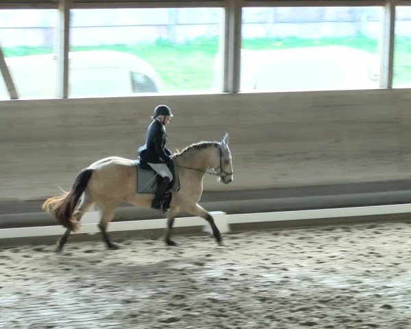 Reitturnier Urtenen-Schönbühl 2024