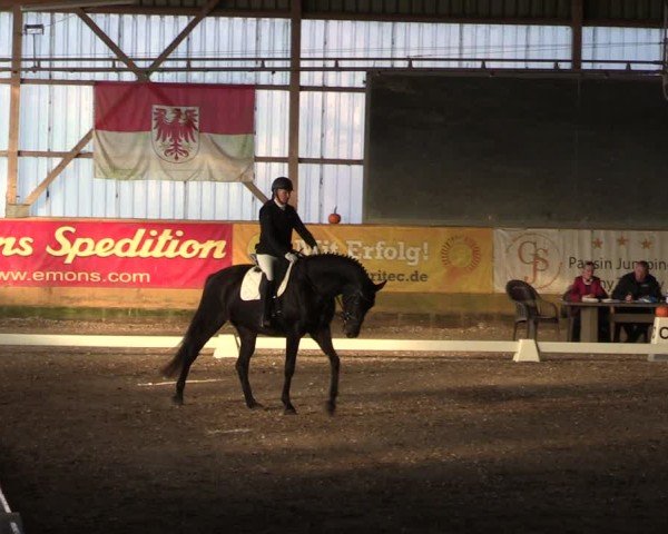 Reitturnier Pausin 2024