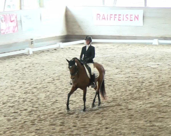 Reitturnier Urtenen-Schönbühl 2024