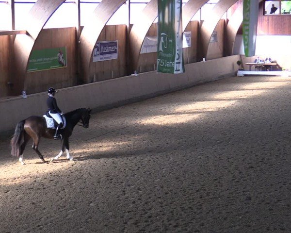 Reitturnier Hövelhof 2024