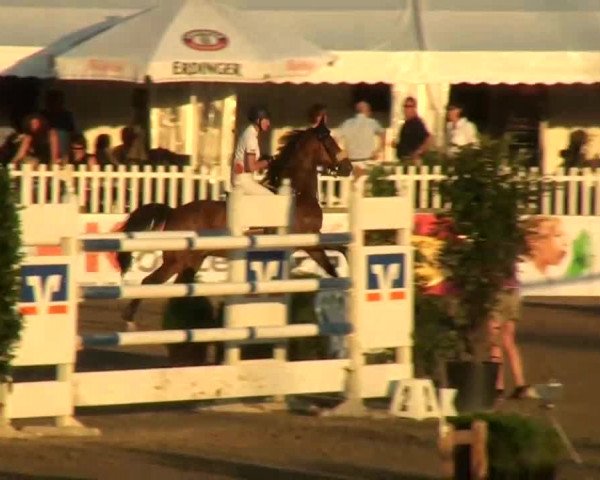 60. Lobbericher Reitsportfestival 01.-04.08.2013