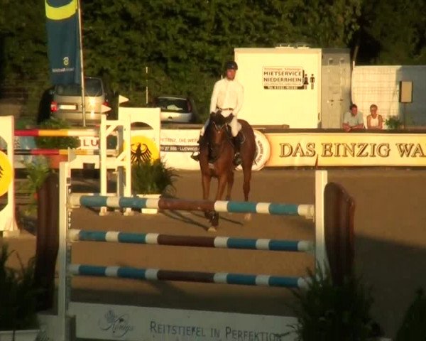 60. Lobbericher Reitsportfestival 01.-04.08.2013