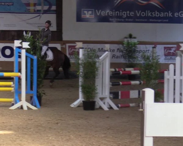 Reitturnier Steinheim 2021