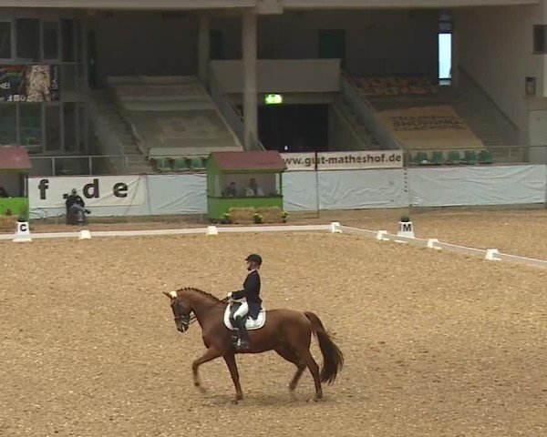 Reitturnier Kreuth/Opf. 2024