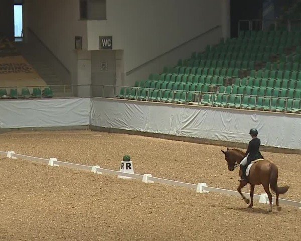Reitturnier Kreuth/Opf. 2024