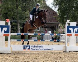 jumper Ece 2 (Zangersheide riding horse, 2017, from Eldorado van de Zeshoek)