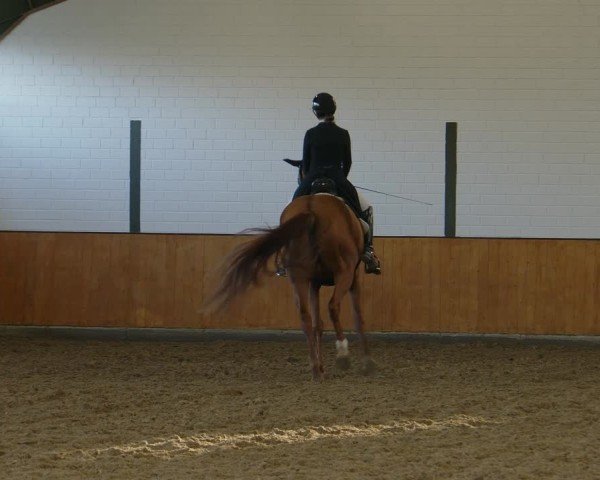 Reitturnier Frechen-Bachem 2024