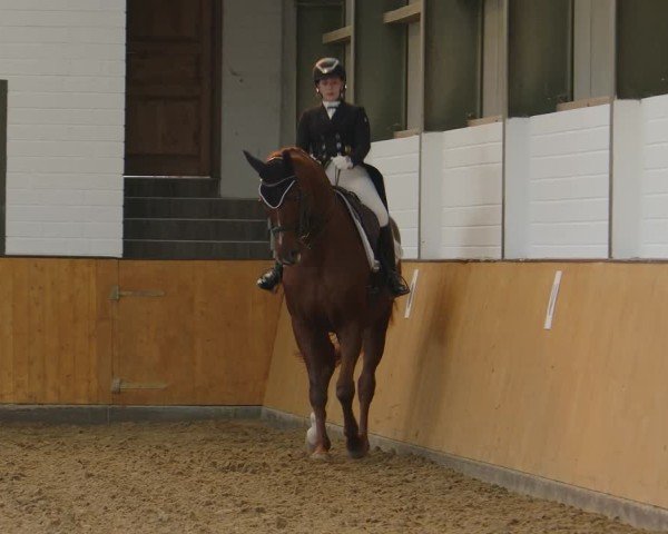 Reitturnier Frechen-Bachem 2024