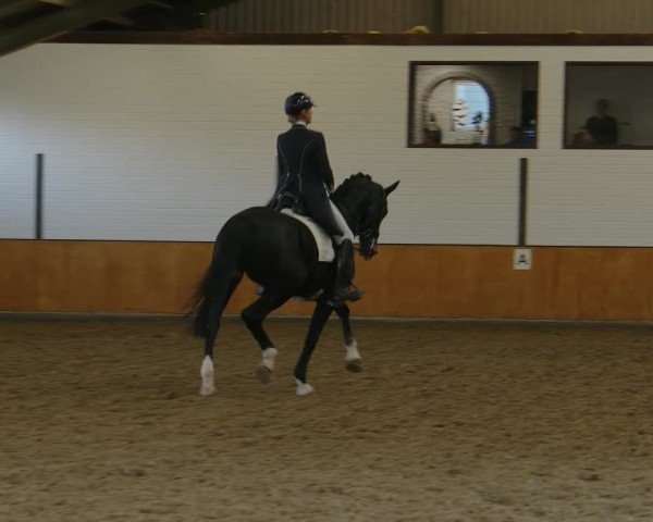 Reitturnier Frechen-Bachem 2024